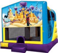 Aladdin Large C4 Dry Combo with Slide & Basketball Hoop Aladdin Large C4 Dry Combo with Slide & Basketball Hoop